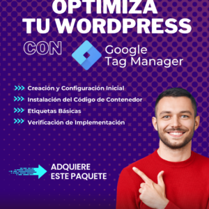 Google Tag Manager WordPress